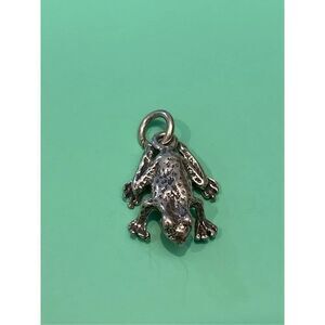 Frog Toad Sterling Silver Jewelry Charm #bugs